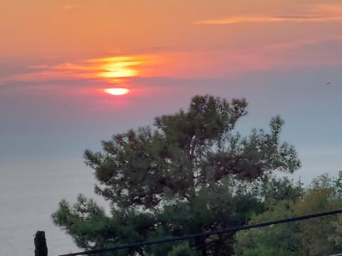 Natural landscape, Sea view