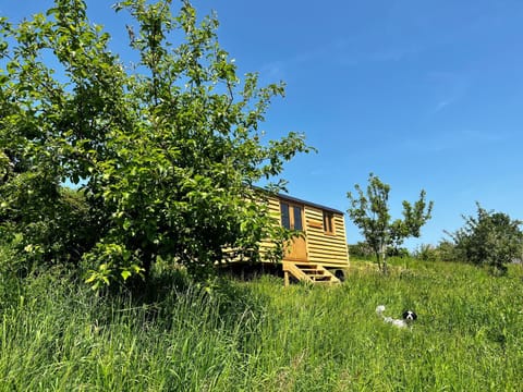 Woodpecker Hill - apple orchard in Alfriston Casa in Alfriston