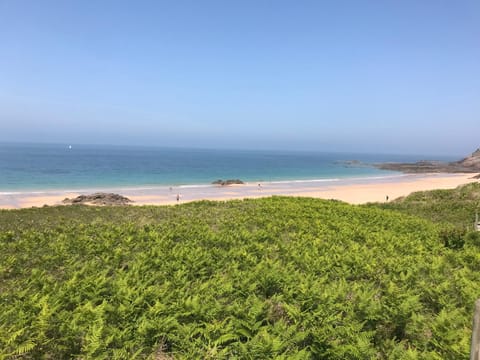 Natural landscape, Beach, Sea view