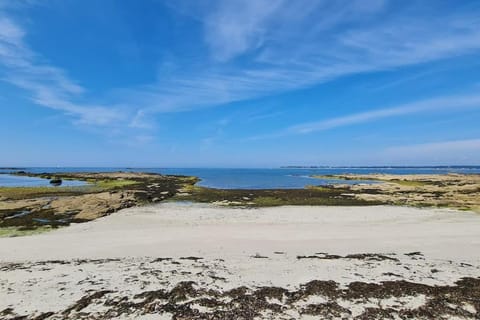 Appartement spacieux centre ville et plage à pied Apartment in Concarneau