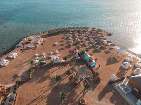 Lemon & Soul Makadi Garden Resort in Hurghada