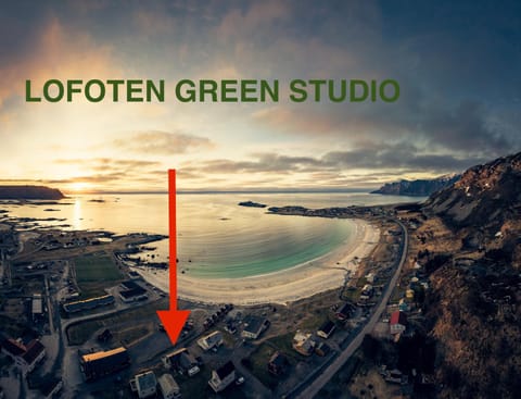 Neighbourhood, Natural landscape, Bird's eye view, Sea view