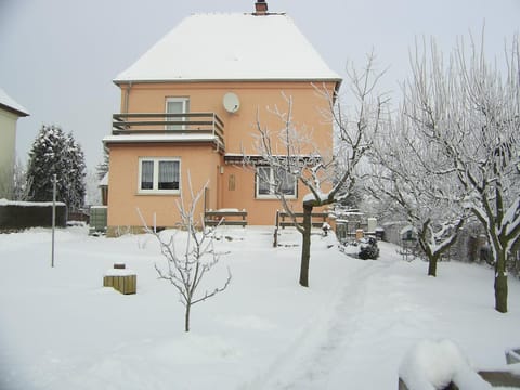 Property building, Winter, Garden