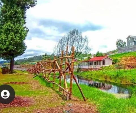 Natural landscape, Garden, Lake view