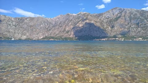 Apartments Dani Copropriété in Kotor Municipality