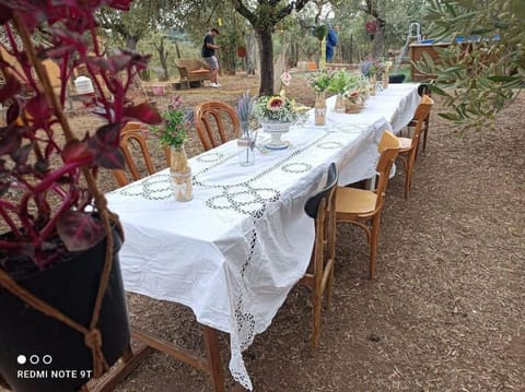 Home Il Cortiglione Copropriété in Frascati