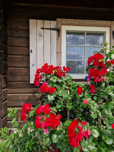 Spring, Garden view