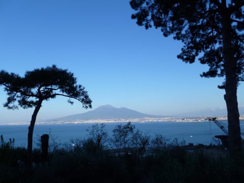 Ancelle Sorrento - Casa d'Accoglienza Hôtel in Castellammare di Stabia