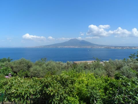 Ancelle Sorrento - Casa d'Accoglienza Hôtel in Castellammare di Stabia