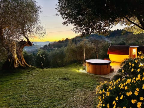 Natural landscape, Garden, Hot Tub, Sauna, Spa and wellness centre/facilities, Garden view