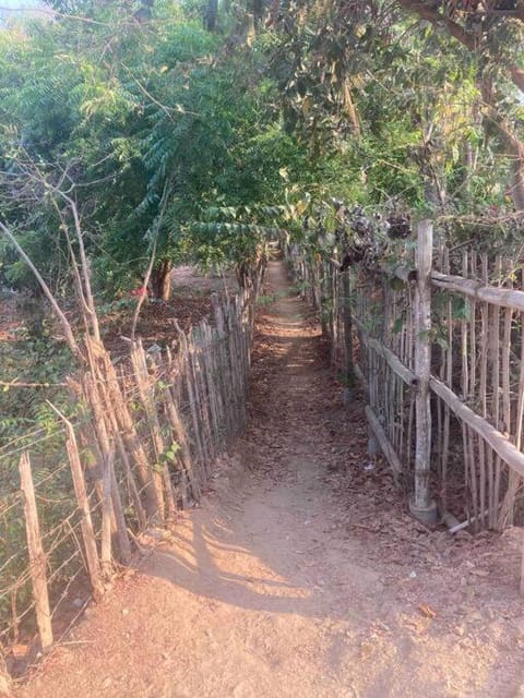 Casa Natura, a haven of calm on the Pacific, pool Villa in State of Oaxaca