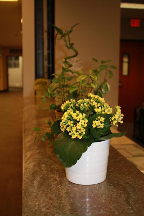 Lobby or reception, Decorative detail