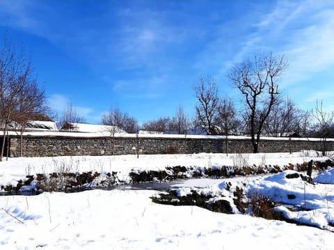 Old oak under the Mountain. Villa in Azerbaijan