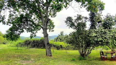 Old oak under the Mountain. Villa in Azerbaijan