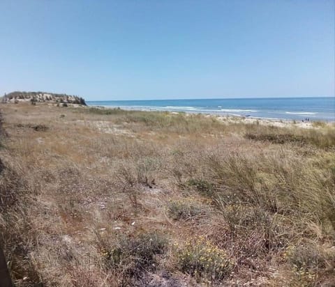 Nearby landmark, Natural landscape, Beach