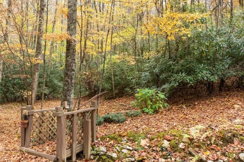 Moss Haven Cabin - Peaceful Blowing Rock Getaway House in Watauga