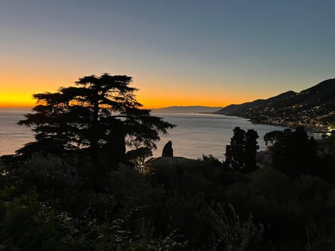 Natural landscape, Sea view, Sunset