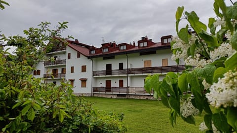 Property building, Garden, Garden view