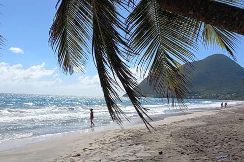 Natural landscape, Beach