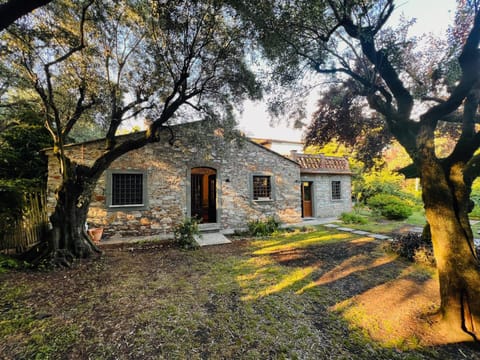 Property building, Day, Garden, Garden view