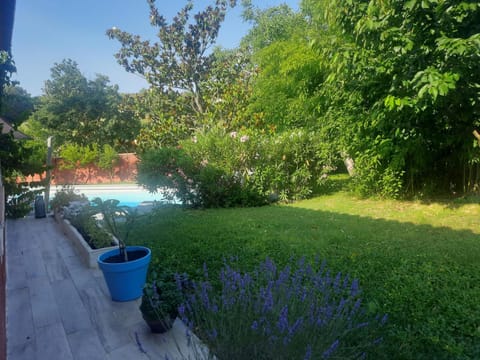 Garden, Swimming pool