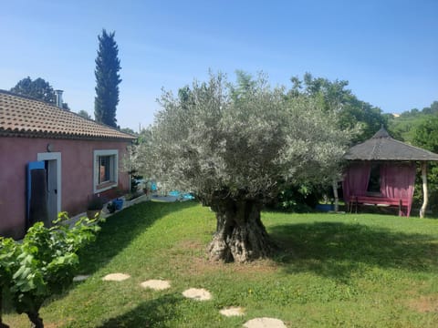 Natural landscape, Garden