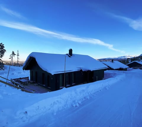 Property building, Winter