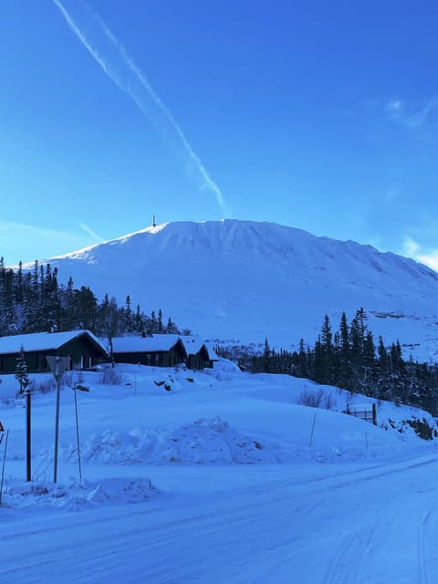 Winter, Mountain view