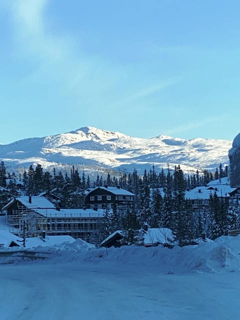 Winter, Mountain view