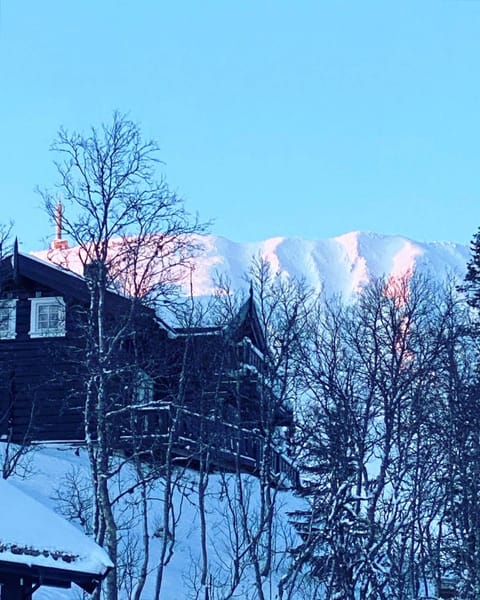 Winter, Mountain view