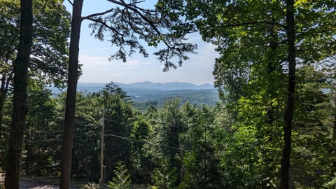 A Blue Ridge Tradition - mountain view, pet friendly, 10 minutes from Blue Ridge Maison in Blue Ridge
