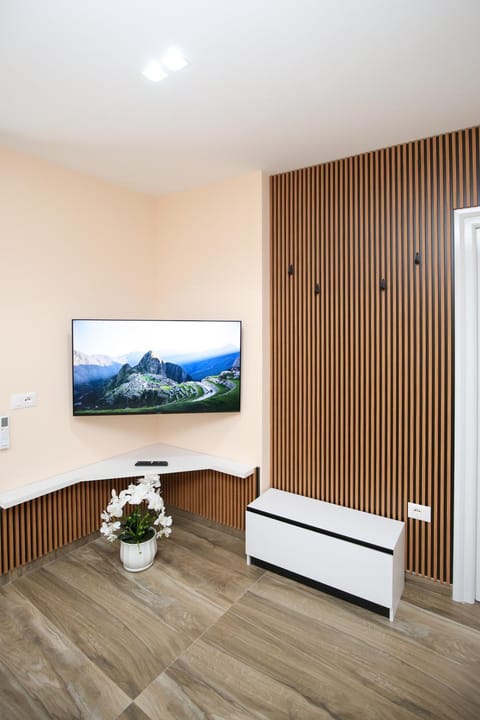 TV and multimedia