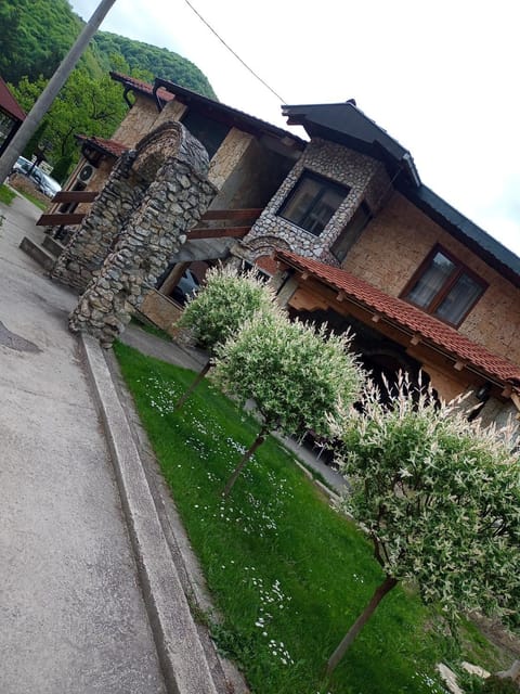 Vila Nenad Ovčar banja Apartment in Zlatibor District, Serbia