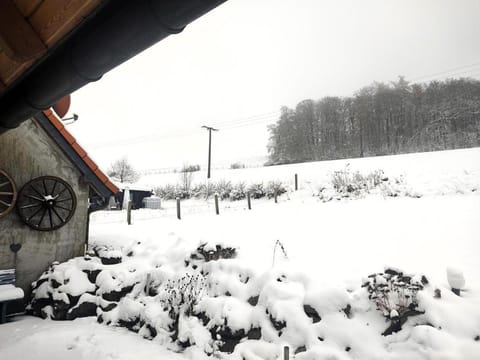 Flechtdorfer Waldblick - 130 qm großes Ferienhaus und großem Grundstück und Bachlauf und Terrasse für 6 Gäste House in Diemelsee