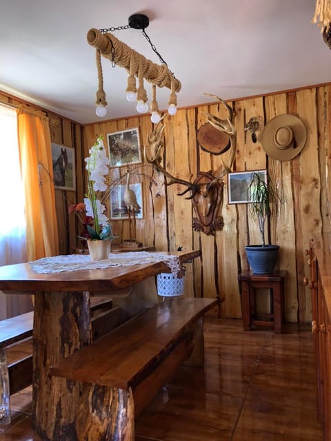 Cabaña estilo rústico House in Pucon