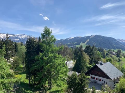 superbe appartement avec vue sur montagnes, calme Apartment in Megève