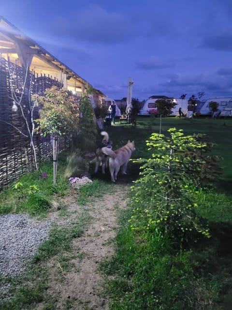 Makeeda Camping Campground/ 
RV Resort in Dobrich Province, Bulgaria