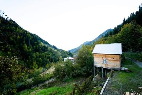 Hotel Voisa/სასტუმრო ვოისა Bed and Breakfast in Adjara, Georgia