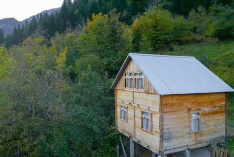 Hotel Voisa/სასტუმრო ვოისა Bed and Breakfast in Adjara, Georgia