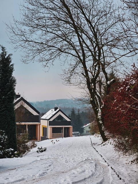 Cienista Dolina House in Gmina Liszki