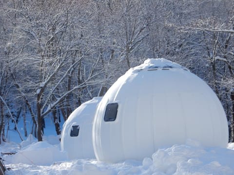 Property building, Day, Natural landscape, Winter