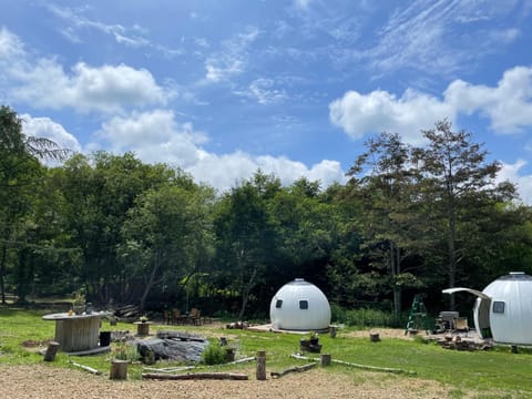 Property building, Day, Natural landscape, Summer