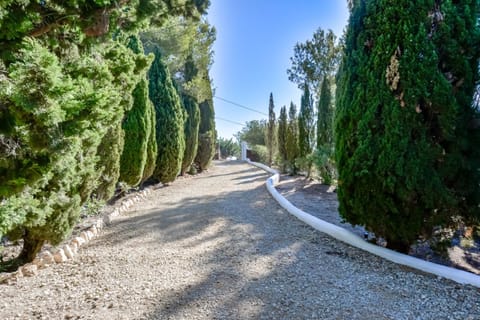 Garden, Garden view