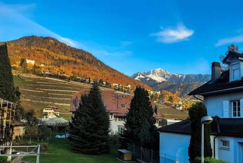 Duplex avec vue lac et montagnes Apartment in Montreux