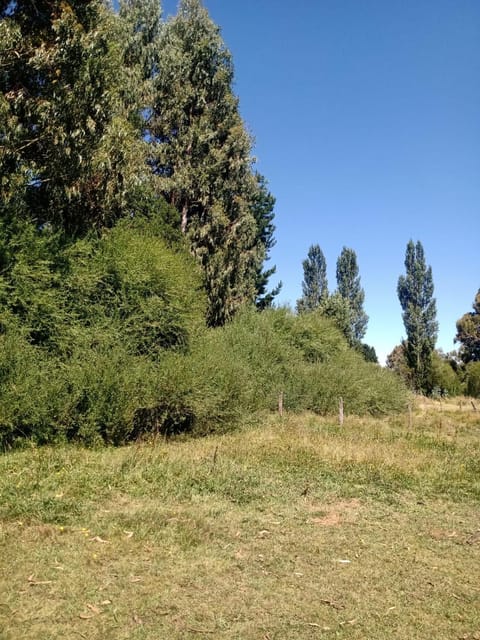 Cabañas Del Valle Apartment in Araucania, Chile