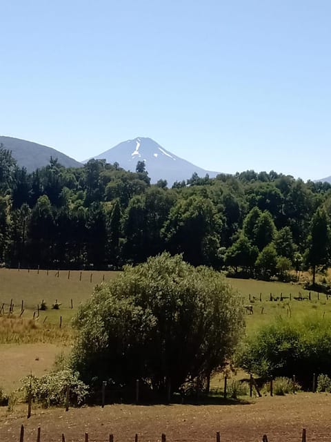 Cabañas Del Valle Apartment in Araucania, Chile