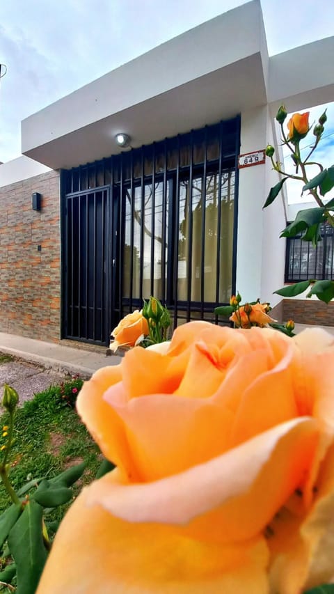 Day, Garden, Garden view