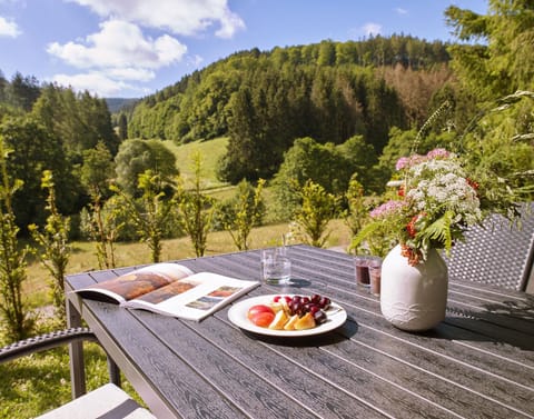 Natural landscape, Dining area, Food, Mountain view