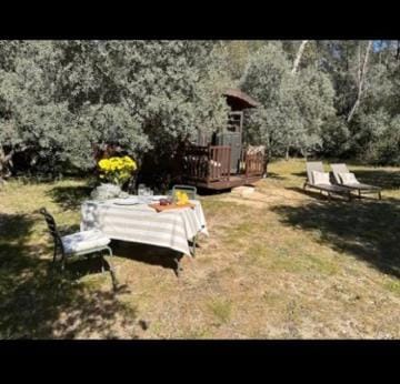 Roulotte / Tiny House dans les Alpilles Luxury tent in Saint-Remy-de-Provence