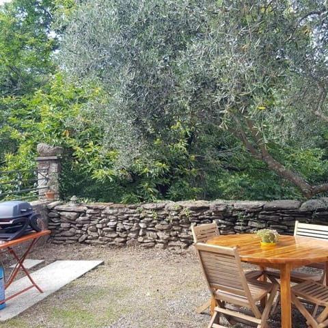 BBQ facilities, Garden